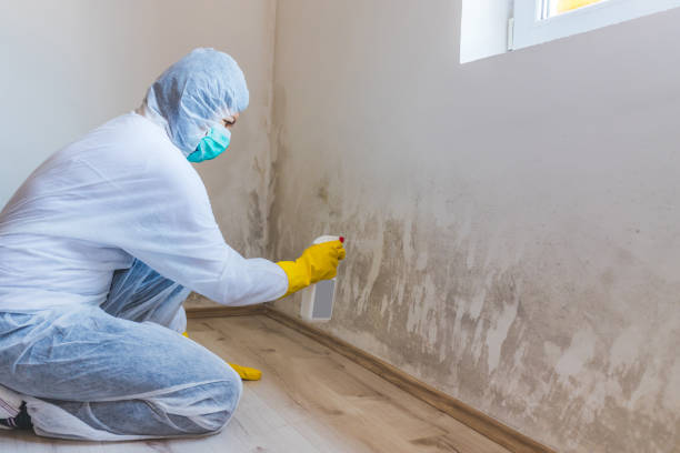 Mold Remediation specialist working in Brinklow